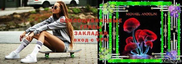 дживик Нефтекумск